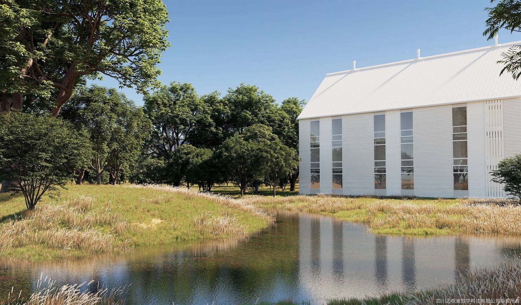 CÂY THÂN CAO VOL 40